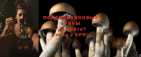mdpv Дмитровск
