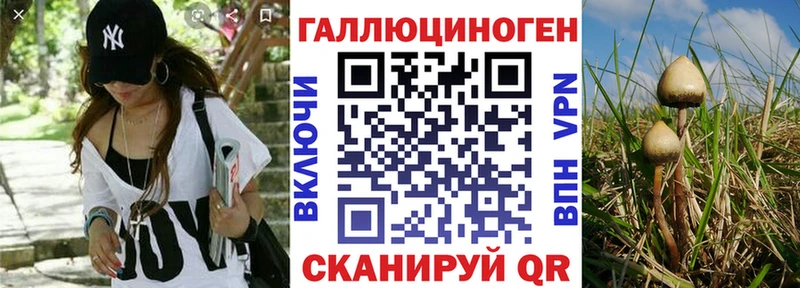 сколько стоит Протвино Псилоцибиновые грибы ЛСД